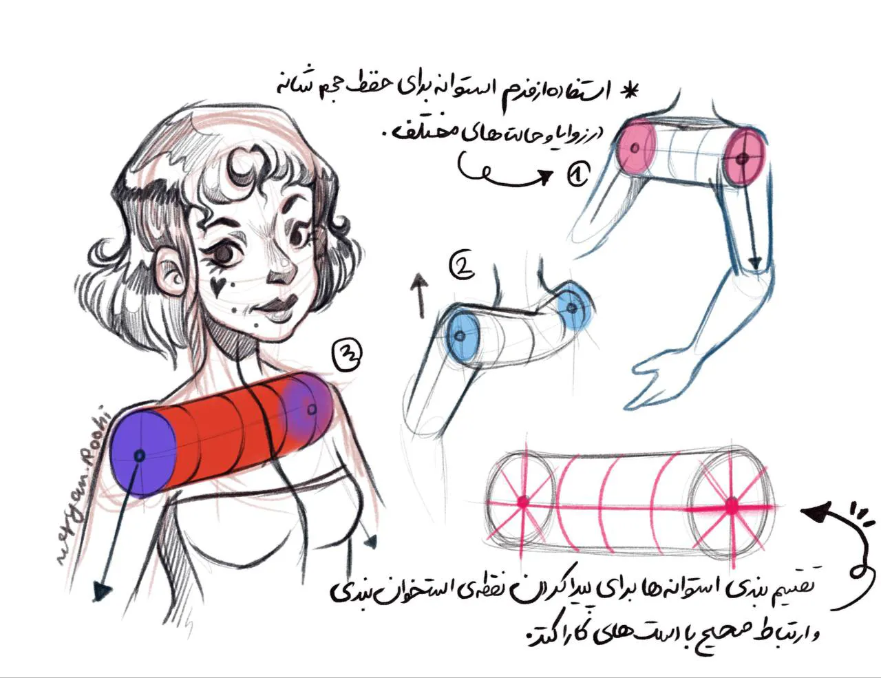 نکات کاربردی طراحی شانه و استخوان‌بندی